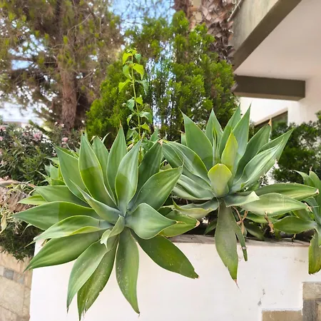 Danaos Nava Appartamento *