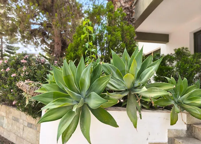 Danaos Nava アパート *